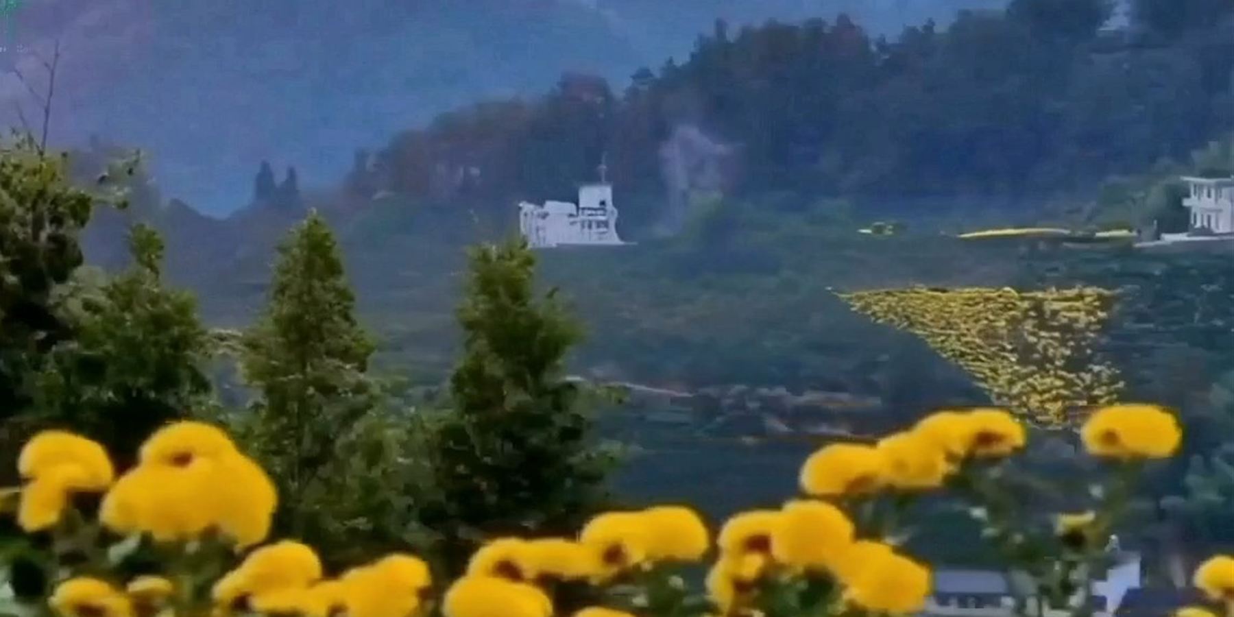 现有品牌视频中的徽州山间景色与菊田